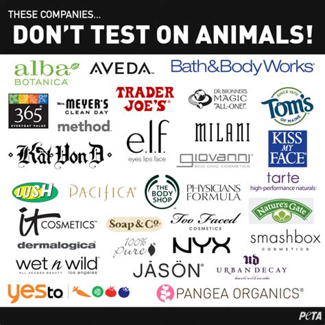 makeup brands that dont test on animals